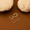 Mini Thick Hoop Earrings  - Bonito Jewelry